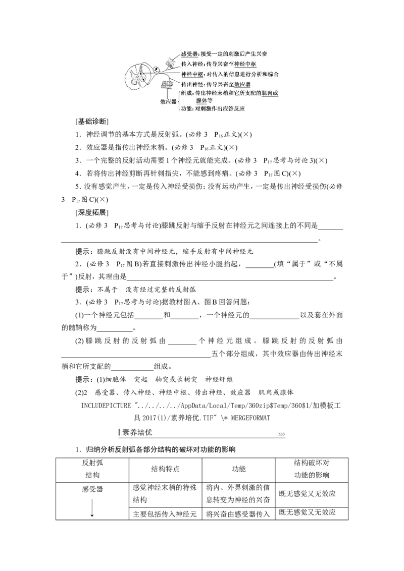 [12533099]高中生物一轮复习学案：第24讲　通过神经系统的调节_新高考复习资料_2023年新高考复习资料_一轮复习_精讲精练2023届新高考生物一轮复习学案