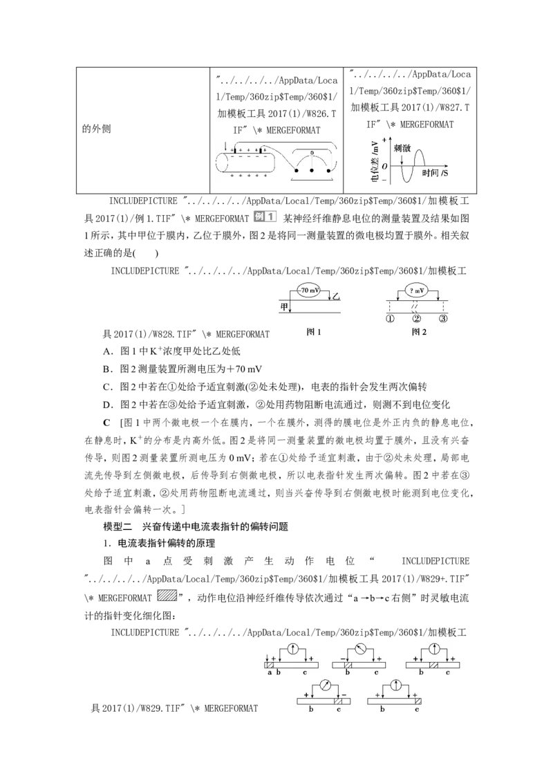 [12533099]高中生物一轮复习学案：第24讲　通过神经系统的调节_新高考复习资料_2023年新高考复习资料_一轮复习_精讲精练2023届新高考生物一轮复习学案