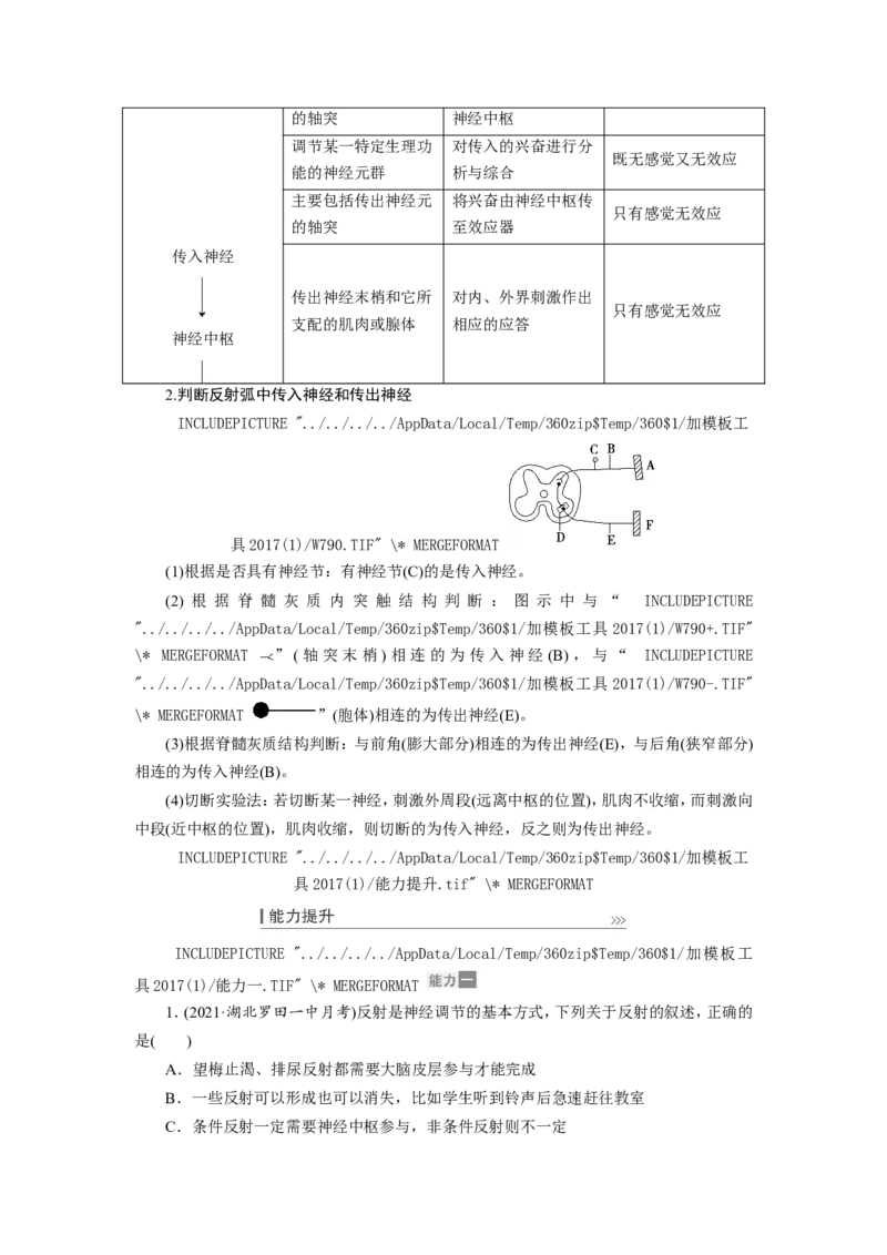 [12533099]高中生物一轮复习学案：第24讲　通过神经系统的调节_新高考复习资料_2023年新高考复习资料_一轮复习_精讲精练2023届新高考生物一轮复习学案