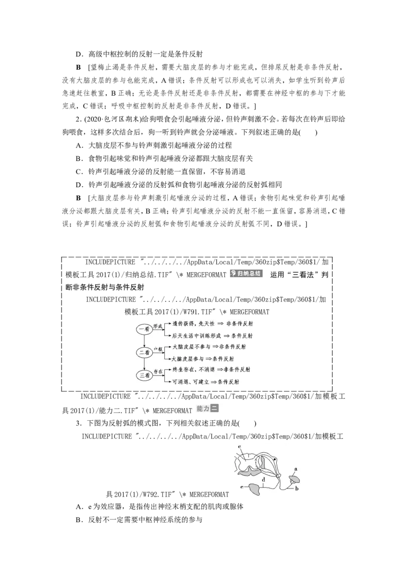 [12533099]高中生物一轮复习学案：第24讲　通过神经系统的调节_新高考复习资料_2023年新高考复习资料_一轮复习_精讲精练2023届新高考生物一轮复习学案