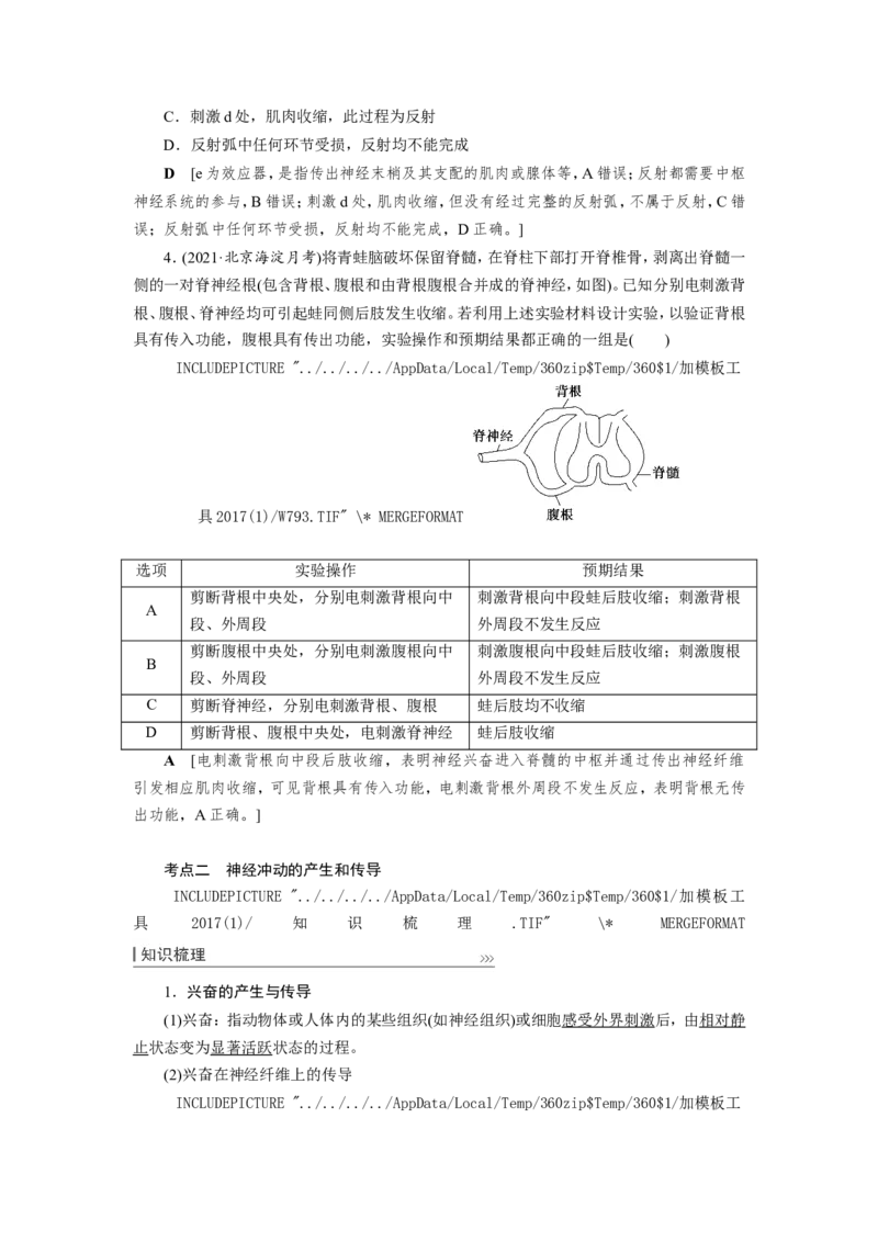 [12533099]高中生物一轮复习学案：第24讲　通过神经系统的调节_新高考复习资料_2023年新高考复习资料_一轮复习_精讲精练2023届新高考生物一轮复习学案
