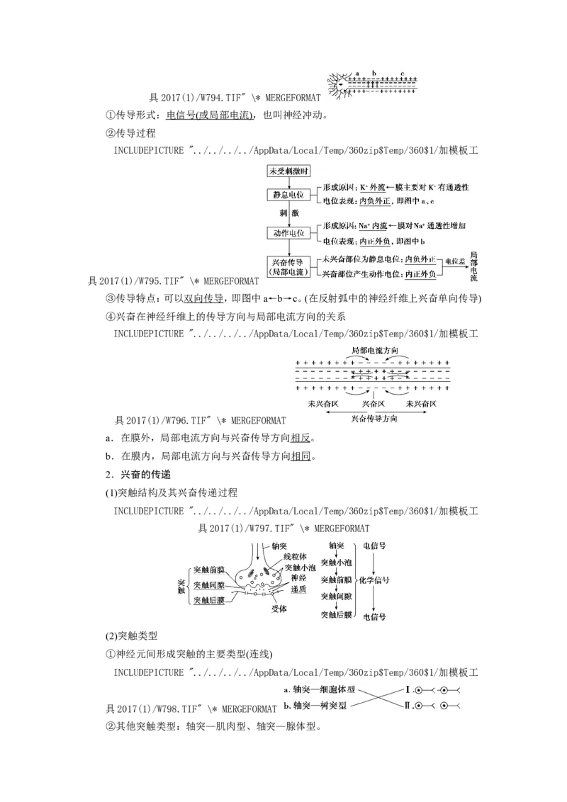 [12533099]高中生物一轮复习学案：第24讲　通过神经系统的调节_新高考复习资料_2023年新高考复习资料_一轮复习_精讲精练2023届新高考生物一轮复习学案