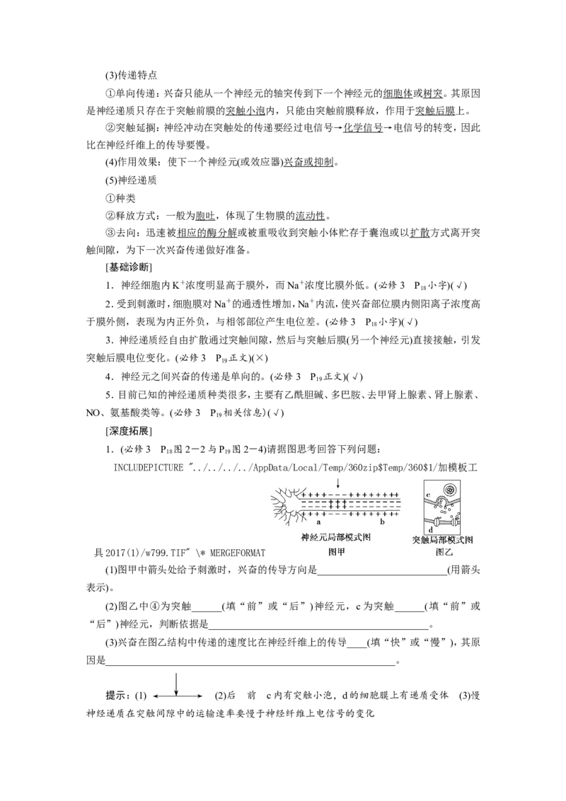 [12533099]高中生物一轮复习学案：第24讲　通过神经系统的调节_新高考复习资料_2023年新高考复习资料_一轮复习_精讲精练2023届新高考生物一轮复习学案