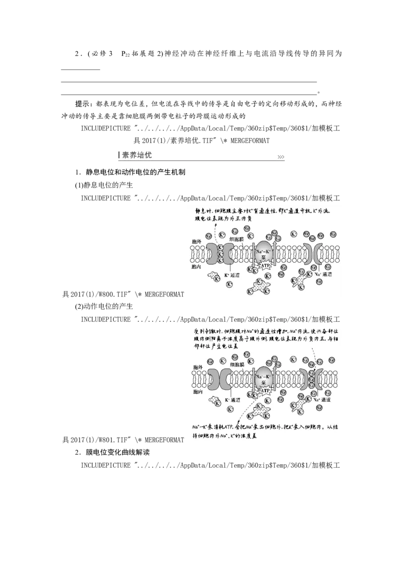 [12533099]高中生物一轮复习学案：第24讲　通过神经系统的调节_新高考复习资料_2023年新高考复习资料_一轮复习_精讲精练2023届新高考生物一轮复习学案