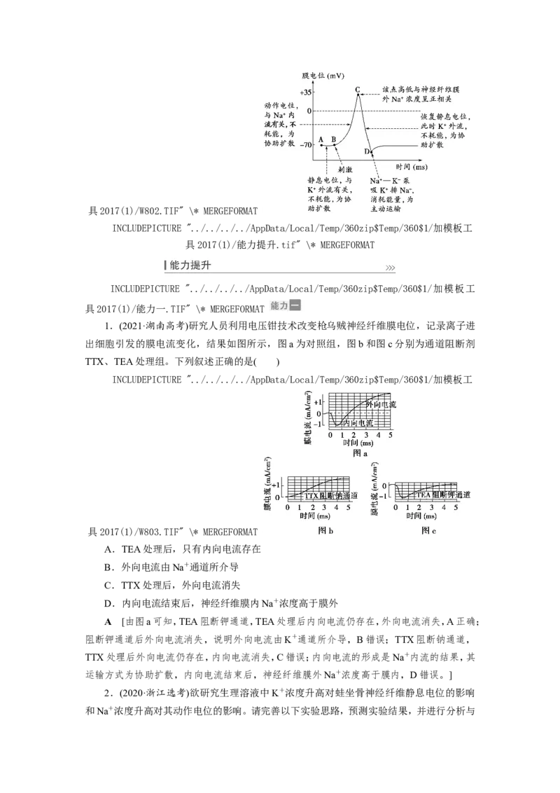 [12533099]高中生物一轮复习学案：第24讲　通过神经系统的调节_新高考复习资料_2023年新高考复习资料_一轮复习_精讲精练2023届新高考生物一轮复习学案