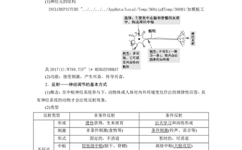 [12533099]高中生物一轮复习学案：第24讲　通过神经系统的调节_新高考复习资料_2023年新高考复习资料_一轮复习_精讲精练2023届新高考生物一轮复习学案
