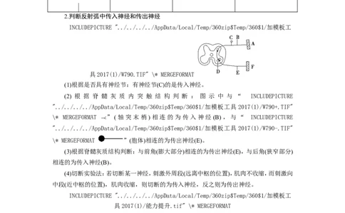 [12533099]高中生物一轮复习学案：第24讲　通过神经系统的调节_新高考复习资料_2023年新高考复习资料_一轮复习_精讲精练2023届新高考生物一轮复习学案