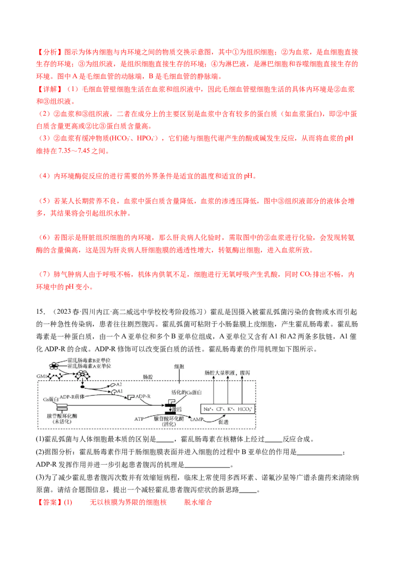 第25讲内环境与稳态（练习）（解析版）_2024年新高考资料_1.2024一轮复习_2024年高考生物一轮复习讲练测（新教材新高考）
