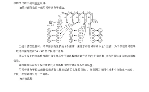 GKSW150_第31讲微生物的培养与应用-备战2022年高考生物一轮复习精品讲义（人教版）(解析版)_新高考复习资料_2022年新高考复习资料_备战2022新高考生物一轮复习精品讲义（人教版）