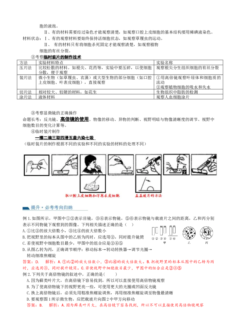 第1讲走近细胞（讲义）（教师版）_2024年新高考资料_1.2024一轮复习_2024年高考生物一轮复习讲练测（新教材新高考）