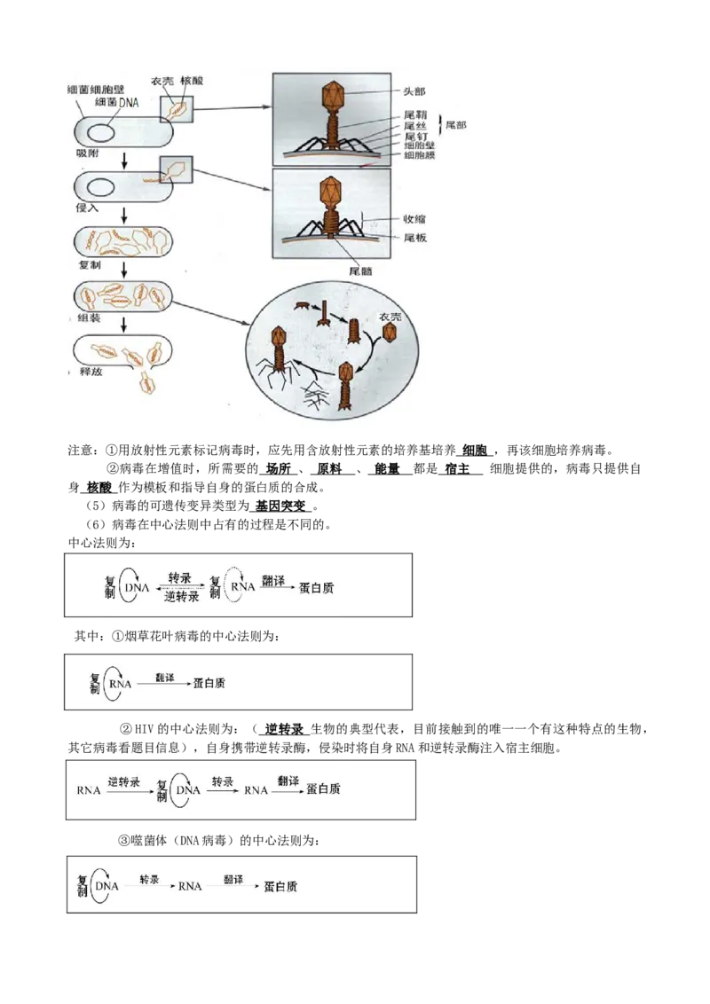 第1讲走近细胞（讲义）（教师版）_2024年新高考资料_1.2024一轮复习_2024年高考生物一轮复习讲练测（新教材新高考）