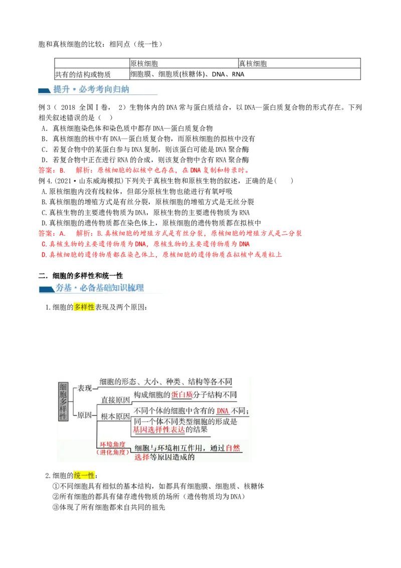 第1讲走近细胞（讲义）（教师版）_2024年新高考资料_1.2024一轮复习_2024年高考生物一轮复习讲练测（新教材新高考）