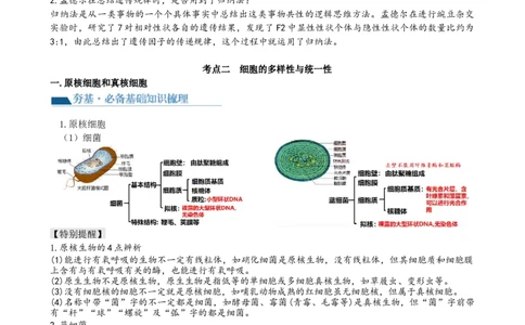 第1讲走近细胞（讲义）（教师版）_2024年新高考资料_1.2024一轮复习_2024年高考生物一轮复习讲练测（新教材新高考）