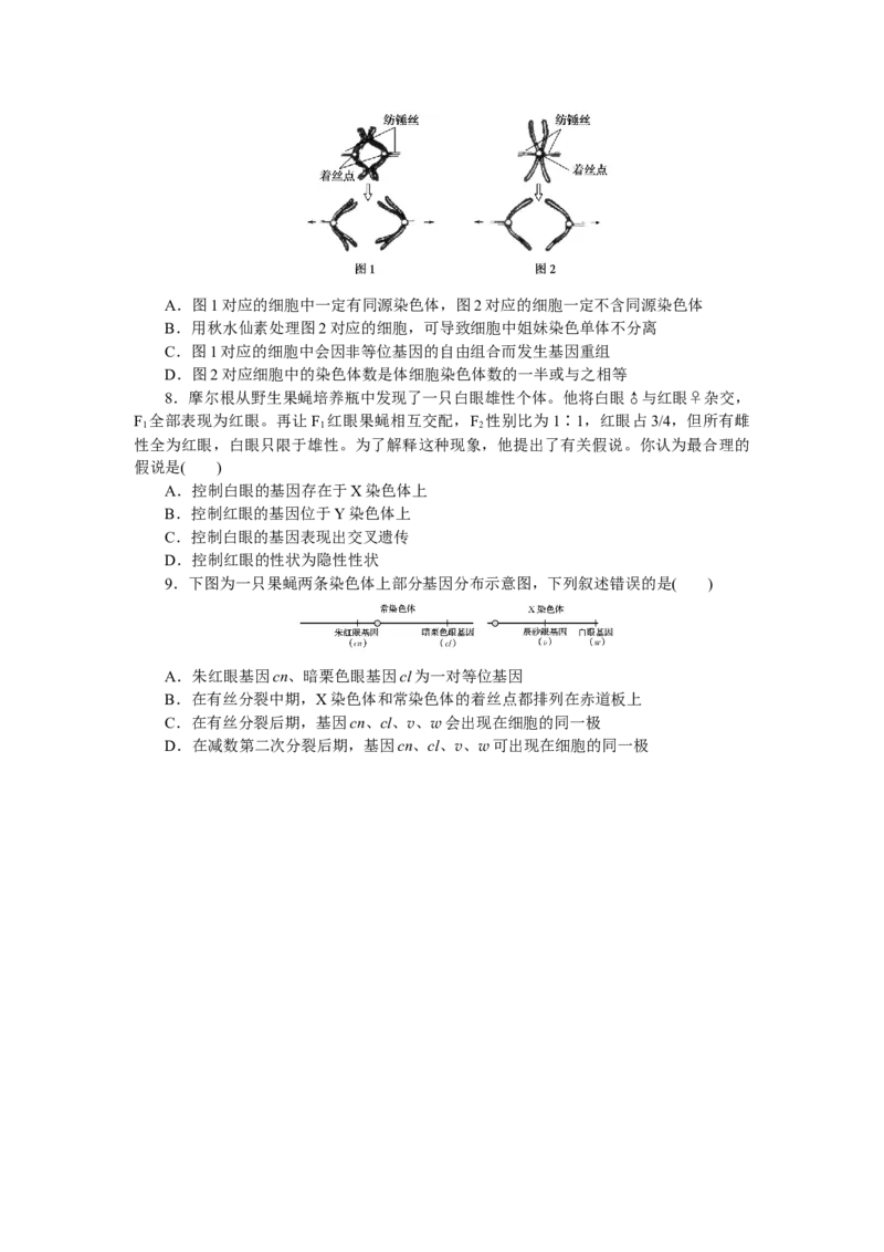 专练38　基因在染色体上_通用版（老高考）复习资料_2023年复习资料_专项复习_2023《微专题&middot;小练习》&middot;生物