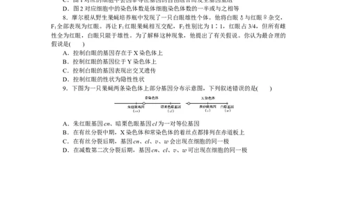 专练38　基因在染色体上_通用版（老高考）复习资料_2023年复习资料_专项复习_2023《微专题&middot;小练习》&middot;生物