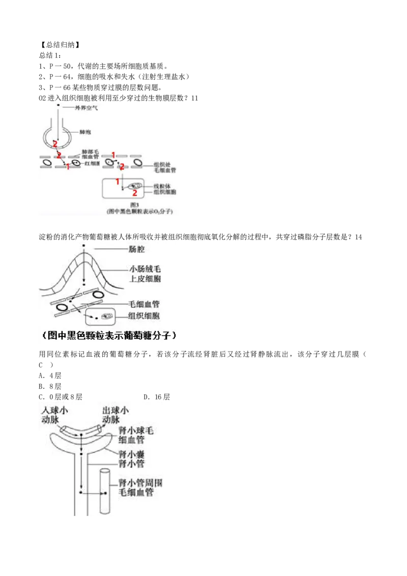 第25讲内环境与稳态（讲义）（学生版）_2024年新高考资料_1.2024一轮复习_2024年高考生物一轮复习讲练测（新教材新高考）