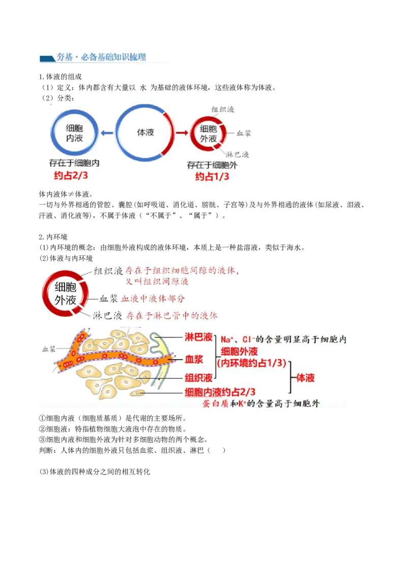 第25讲内环境与稳态（讲义）（学生版）_2024年新高考资料_1.2024一轮复习_2024年高考生物一轮复习讲练测（新教材新高考）