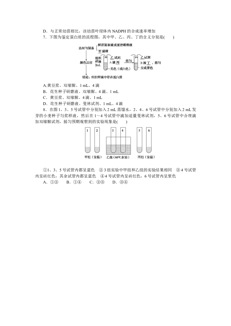 专练2　细胞中的元素和化合物_新高考复习资料_2023年新高考复习资料_专项复习_2023《微专题&middot;小练习》&middot;生物&middot;新教材&middot;XL-7