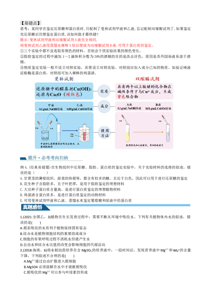 第2讲细胞中的元素和化合物（讲义）（学生版）_2024年新高考资料_1.2024一轮复习_2024年高考生物一轮复习讲练测（新教材新高考）