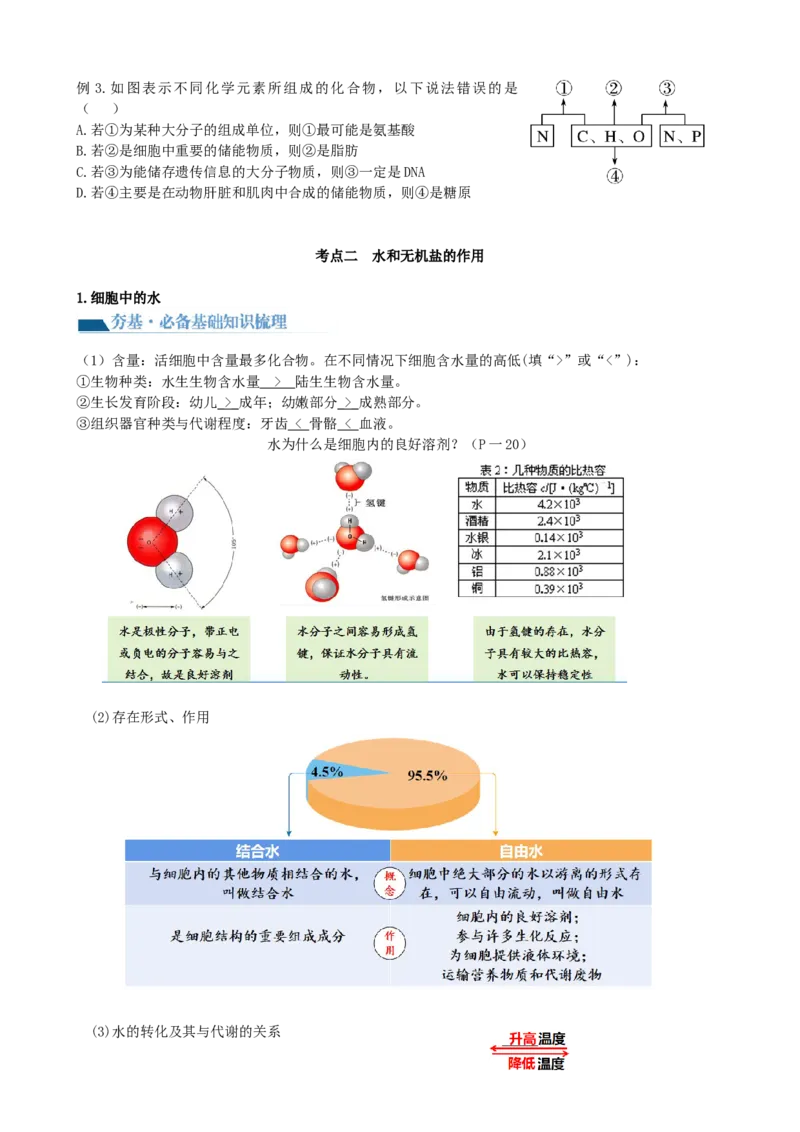 第2讲细胞中的元素和化合物（讲义）（学生版）_2024年新高考资料_1.2024一轮复习_2024年高考生物一轮复习讲练测（新教材新高考）