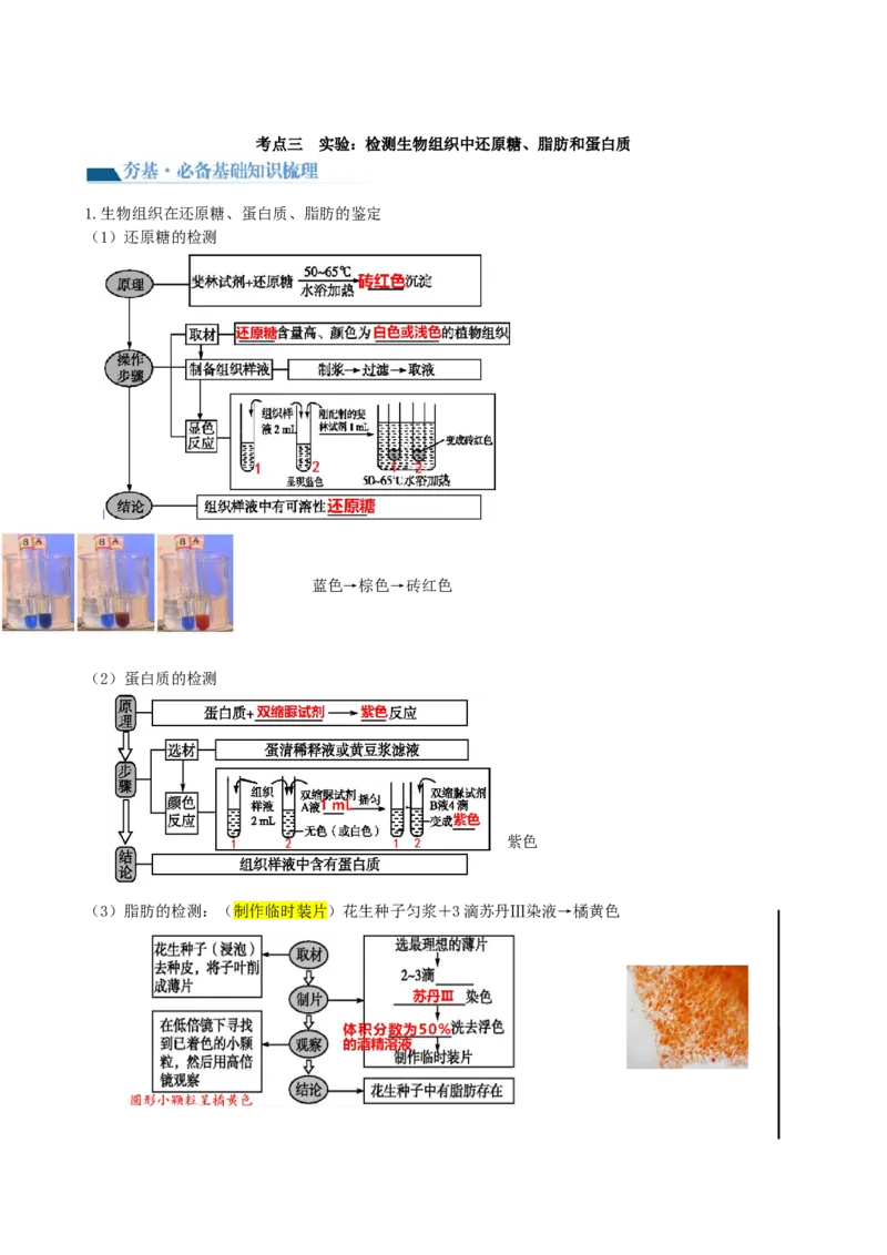 第2讲细胞中的元素和化合物（讲义）（学生版）_2024年新高考资料_1.2024一轮复习_2024年高考生物一轮复习讲练测（新教材新高考）