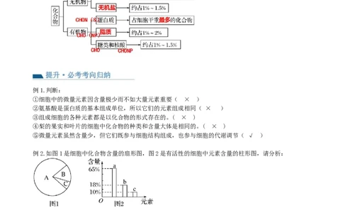 第2讲细胞中的元素和化合物（讲义）（学生版）_2024年新高考资料_1.2024一轮复习_2024年高考生物一轮复习讲练测（新教材新高考）