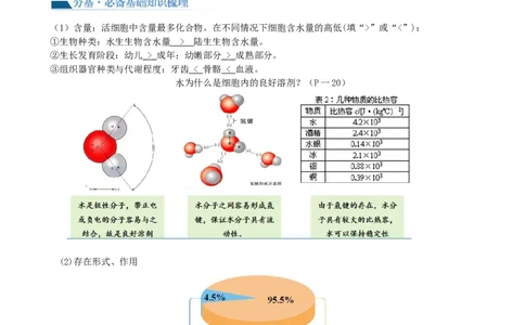 第2讲细胞中的元素和化合物（讲义）（学生版）_2024年新高考资料_1.2024一轮复习_2024年高考生物一轮复习讲练测（新教材新高考）