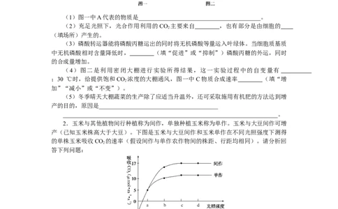 专练90　光合作用与细胞呼吸综合练_通用版（老高考）复习资料_2023年复习资料_专项复习_2023《微专题&middot;小练习》&middot;生物