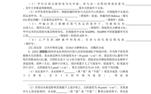 专练90　光合作用与细胞呼吸综合练_通用版（老高考）复习资料_2023年复习资料_专项复习_2023《微专题&middot;小练习》&middot;生物