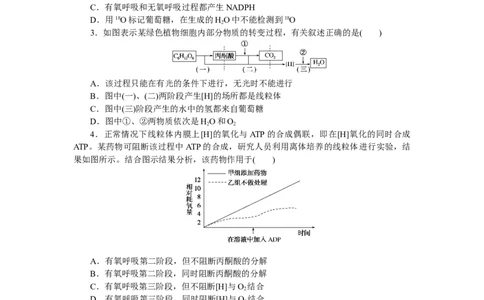 专练21　细胞呼吸(有氧呼吸)_新高考复习资料_2023年新高考复习资料_专项复习_2023《微专题&middot;小练习》&middot;生物&middot;新教材&middot;XL-7