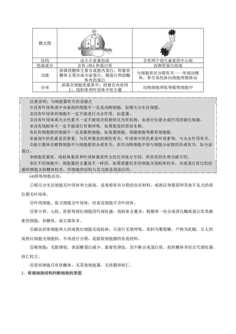 GKSW150_第5讲细胞器及生物膜系统-备战2022年高考生物一轮复习精品讲义（人教版）(原卷版)_新高考复习资料_2022年新高考复习资料_备战2022新高考生物一轮复习精品讲义（人教版）