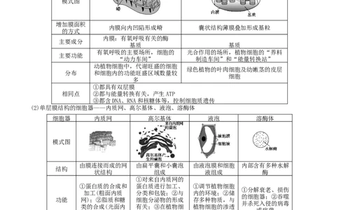 GKSW150_第5讲细胞器及生物膜系统-备战2022年高考生物一轮复习精品讲义（人教版）(原卷版)_新高考复习资料_2022年新高考复习资料_备战2022新高考生物一轮复习精品讲义（人教版）