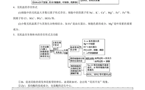 GKSW150_第2讲组成细胞的元素及无机化合物-备战2022年高考生物一轮复习精品讲义（人教版）(原卷版)_新高考复习资料_2022年新高考复习资料_备战2022新高考生物一轮复习精品讲义（人教版）