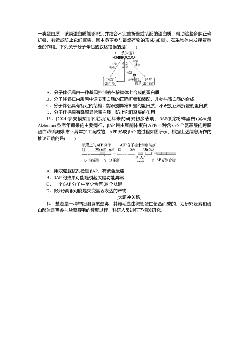 2025届高中生物学一轮复习检测案3　蛋白质是生命活动的主要承担者（含解析）_2025年新高考资料_一轮复习_2025届高中生物学一轮复习分层复习检测(含解析)