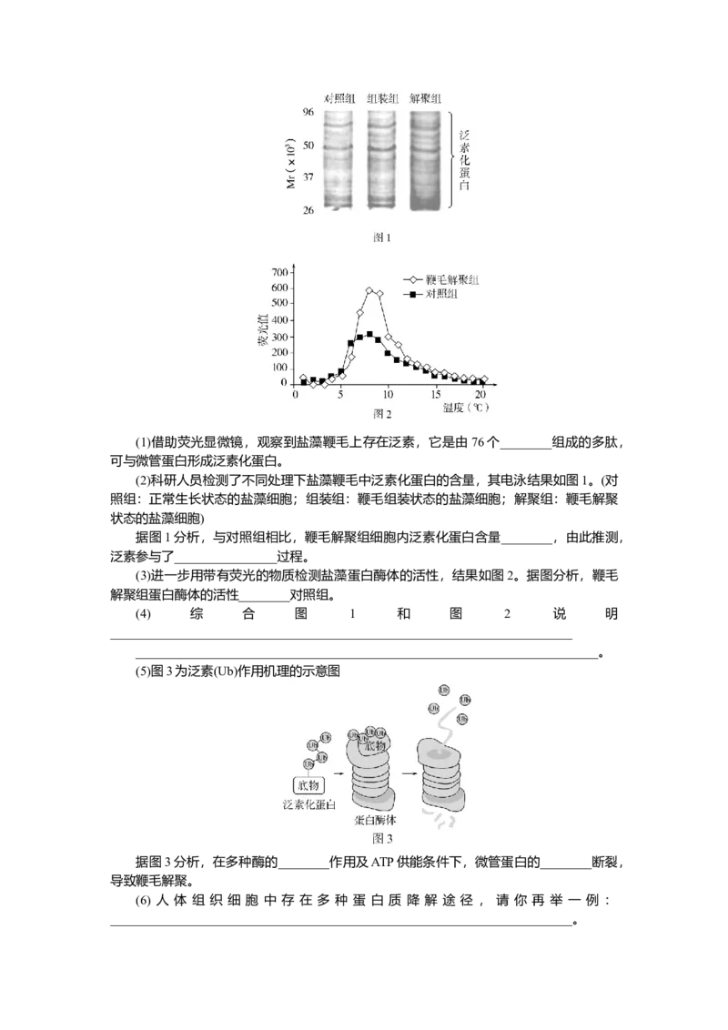 2025届高中生物学一轮复习检测案3　蛋白质是生命活动的主要承担者（含解析）_2025年新高考资料_一轮复习_2025届高中生物学一轮复习分层复习检测(含解析)