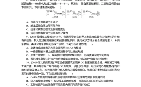 2025届高中生物学一轮复习检测案3　蛋白质是生命活动的主要承担者（含解析）_2025年新高考资料_一轮复习_2025届高中生物学一轮复习分层复习检测(含解析)