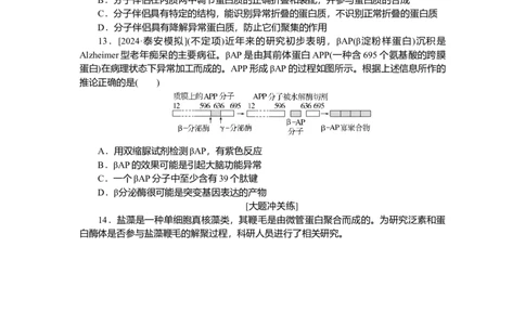 2025届高中生物学一轮复习检测案3　蛋白质是生命活动的主要承担者（含解析）_2025年新高考资料_一轮复习_2025届高中生物学一轮复习分层复习检测(含解析)