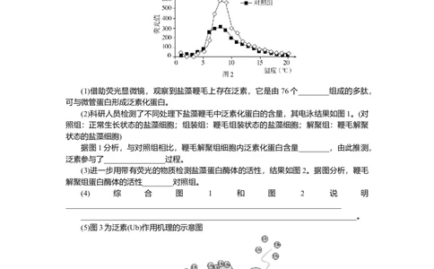 2025届高中生物学一轮复习检测案3　蛋白质是生命活动的主要承担者（含解析）_2025年新高考资料_一轮复习_2025届高中生物学一轮复习分层复习检测(含解析)