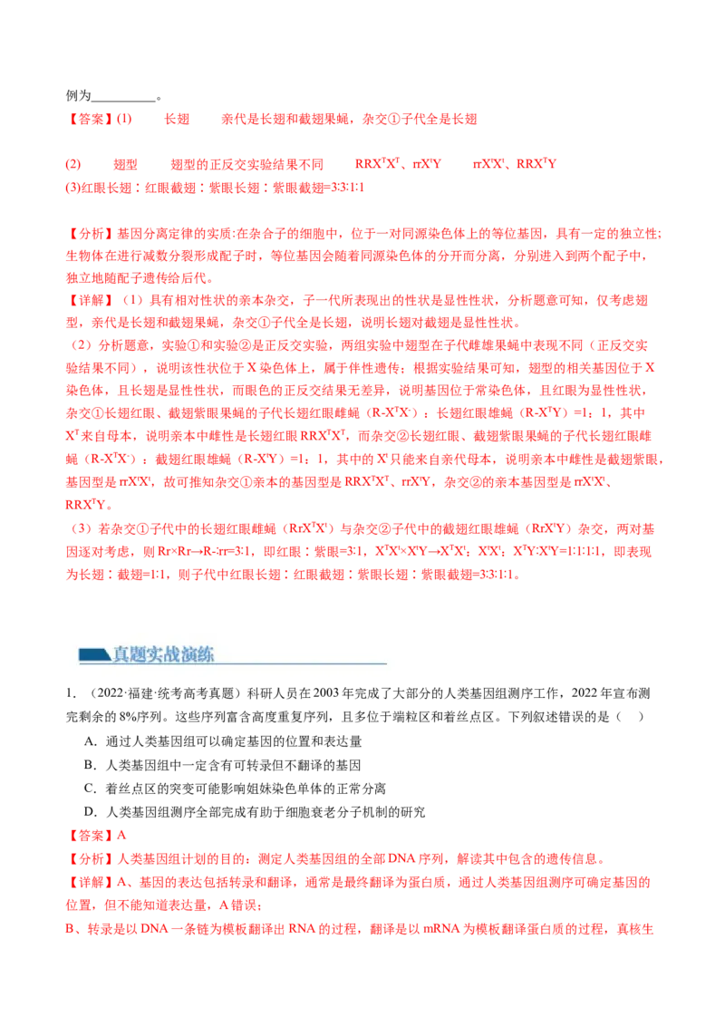 第18讲伴性遗传和人类遗传病（练习）（解析版）_2024年新高考资料_1.2024一轮复习_2024年高考生物一轮复习讲练测（新教材新高考）