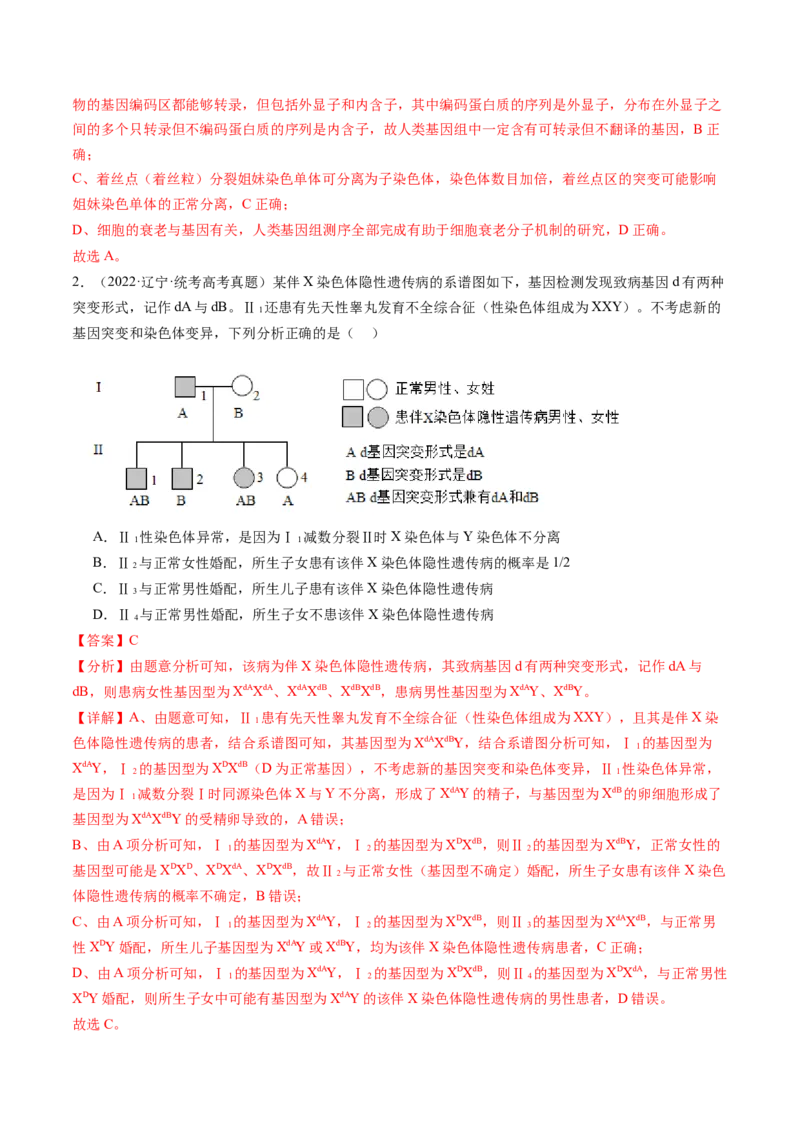 第18讲伴性遗传和人类遗传病（练习）（解析版）_2024年新高考资料_1.2024一轮复习_2024年高考生物一轮复习讲练测（新教材新高考）