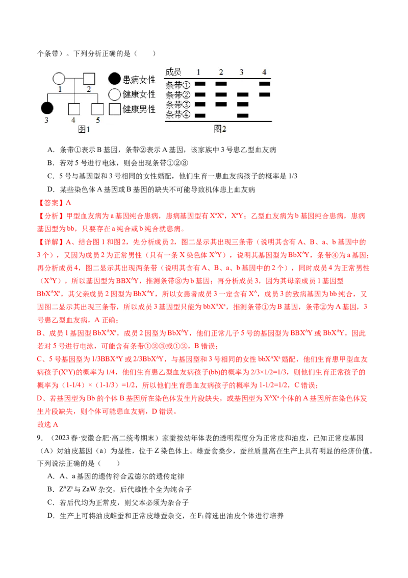 第18讲伴性遗传和人类遗传病（练习）（解析版）_2024年新高考资料_1.2024一轮复习_2024年高考生物一轮复习讲练测（新教材新高考）