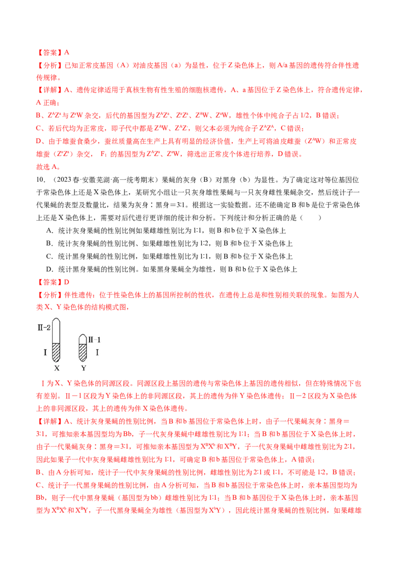 第18讲伴性遗传和人类遗传病（练习）（解析版）_2024年新高考资料_1.2024一轮复习_2024年高考生物一轮复习讲练测（新教材新高考）