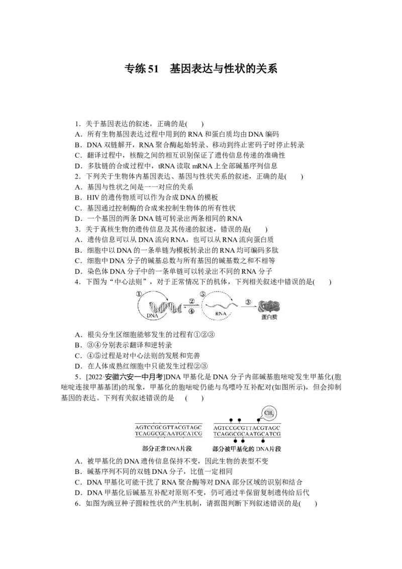 专练51　基因表达与性状的关系_新高考复习资料_2023年新高考复习资料_专项复习_2023《微专题&middot;小练习》&middot;生物&middot;新教材&middot;XL-7