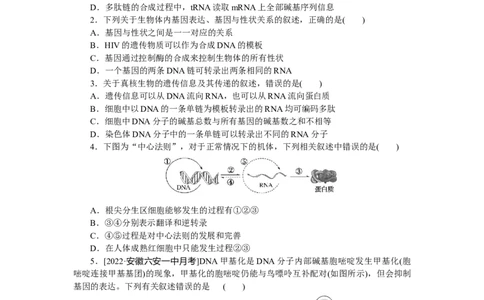 专练51　基因表达与性状的关系_新高考复习资料_2023年新高考复习资料_专项复习_2023《微专题&middot;小练习》&middot;生物&middot;新教材&middot;XL-7
