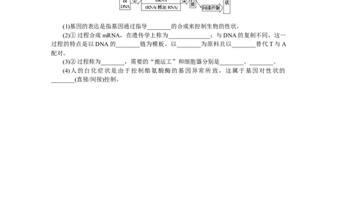 专练51　基因表达与性状的关系_新高考复习资料_2023年新高考复习资料_专项复习_2023《微专题&middot;小练习》&middot;生物&middot;新教材&middot;XL-7
