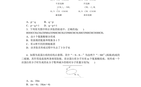 专练4　蛋白质的计算分析_通用版（老高考）复习资料_2023年复习资料_专项复习_2023《微专题&middot;小练习》&middot;生物