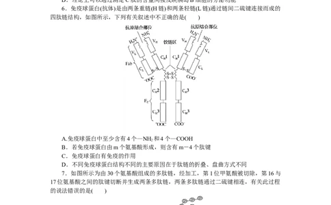 专练4　蛋白质的计算分析_通用版（老高考）复习资料_2023年复习资料_专项复习_2023《微专题&middot;小练习》&middot;生物