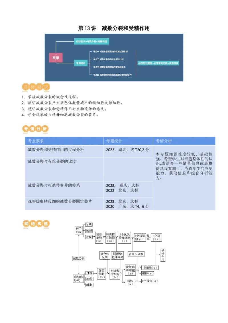 第13讲减数分裂和受精作用（讲义）（教师版）_2024年新高考资料_1.2024一轮复习_2024年高考生物一轮复习讲练测（新教材新高考）