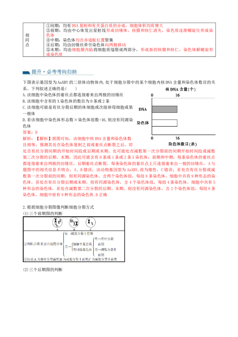 第13讲减数分裂和受精作用（讲义）（教师版）_2024年新高考资料_1.2024一轮复习_2024年高考生物一轮复习讲练测（新教材新高考）