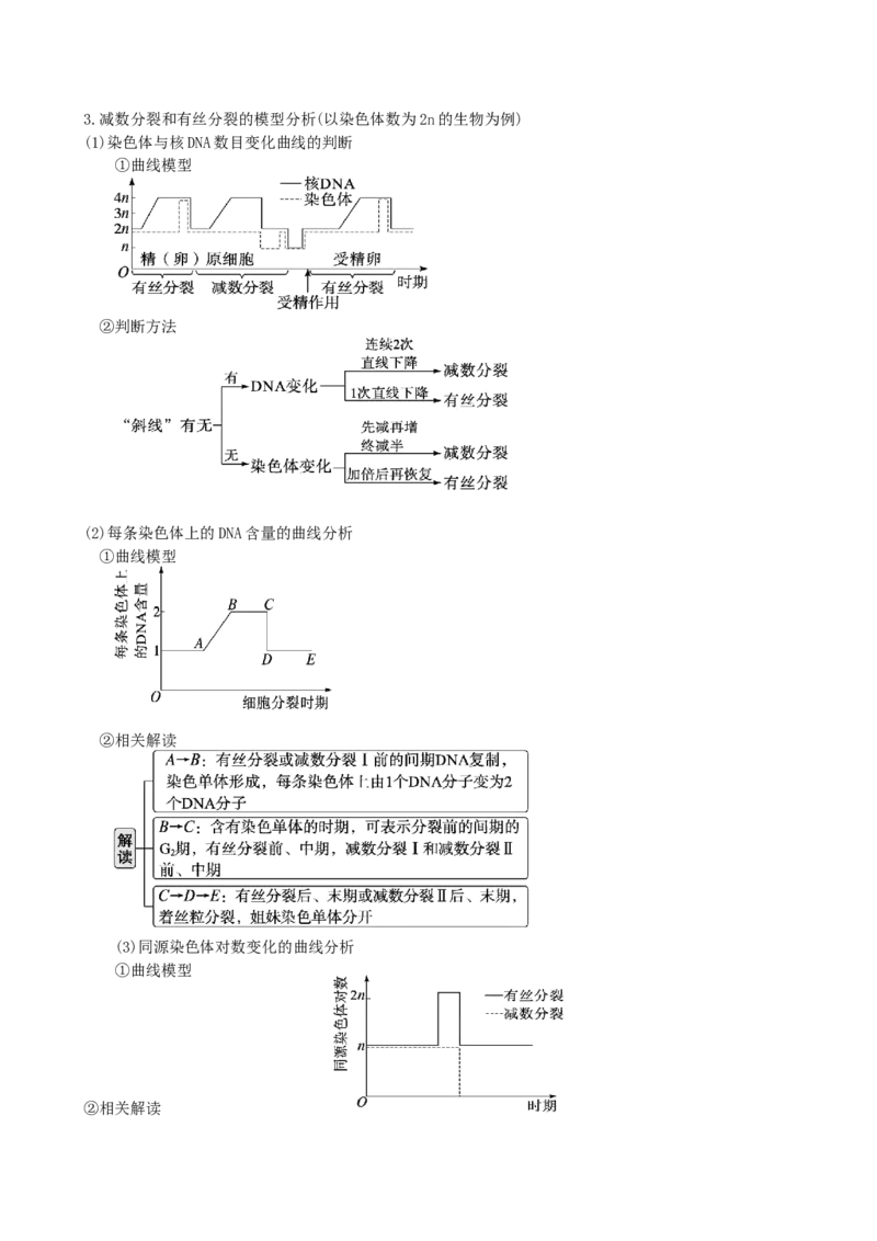 第13讲减数分裂和受精作用（讲义）（教师版）_2024年新高考资料_1.2024一轮复习_2024年高考生物一轮复习讲练测（新教材新高考）
